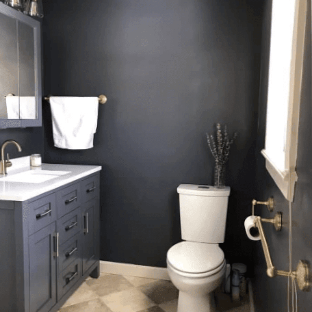 Modern bathroom with dark walls, white toilet, and matching vanity with a mirror and towel rack.